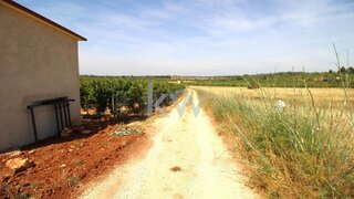 Land for sale in Silves, Portugal — €15,000