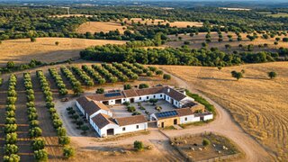Terreno em Santiago do Cacém · 129 500 m² · 950 000 €
