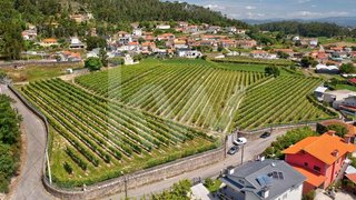 Land for sale in Barcelos, Portugal — €1,600,000