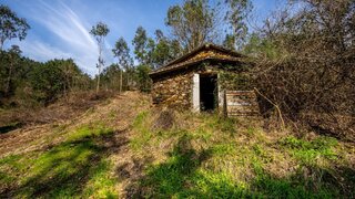 Terreno em Paredes · 20 750 m² · 45 000 €