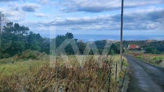 Land for sale in Santana, Portugal