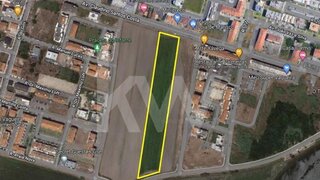 Land for sale in Vagos, Portugal — €1,200,000