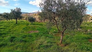 Land for sale in Covilhã, Portugal — €15,000