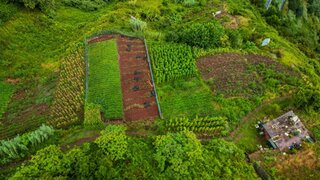 Land for sale in Santana, Portugal — €33,500