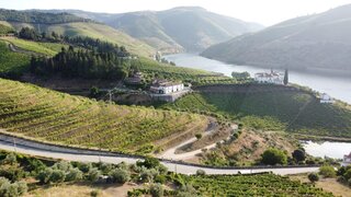 Land for sale in Armamar, Portugal — €75,000