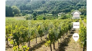 Land for sale in Baião, Portugal — €40,000