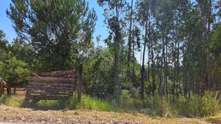 Terreno em Condeixa-a-Nova · 8077 m² · 40 500 €