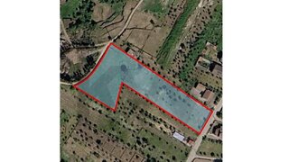 Terreno em Tondela · 5650 m² · 135 000 €