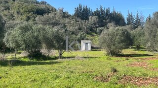 Land for sale in Portimão, Portugal — €130,000