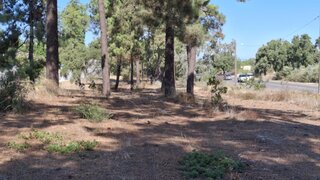 Terreno de 35 173 m² em Setúbal