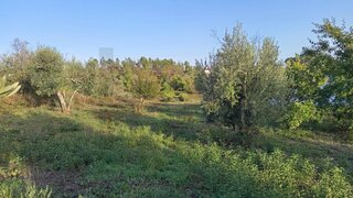 Terreno para venda em Sertã, Portugal — 36 900 €