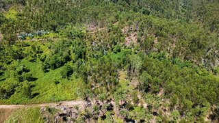 Land for sale in Sertã, Portugal — €5,600