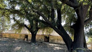 Land for sale in Pedrógão Grande, Portugal — €390,000