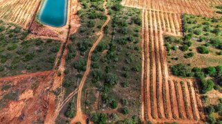 Land for sale in Silves, Portugal — €30,000