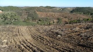 Terreno em Ourique