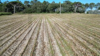Land for sale in Póvoa de Varzim, Portugal — €336,000