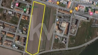 Land for sale in Vagos, Portugal — €2,280,000