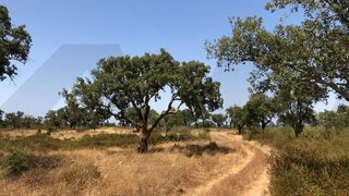 Terreno · 165 700 m² · 725 000 €