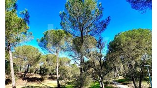 Land for sale in Benavente, Portugal — €820,000