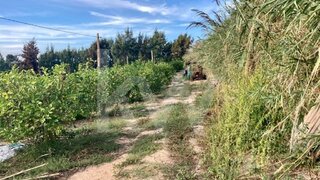 Land for sale in Mafra, Portugal — €150,000