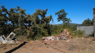 Land for sale in Ansião, Portugal — €13,500