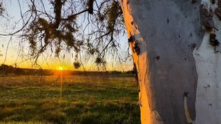 Land for sale in Montemor-o-Novo, Portugal — €170,000