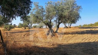 Land for sale in Portel, Portugal — €36,000