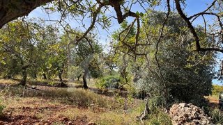 Land for sale in Albufeira, Portugal — €45,000