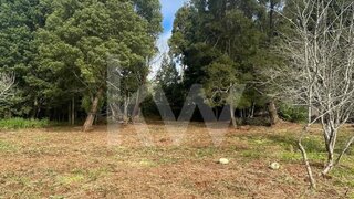 Land for sale in Santa Cruz, Portugal