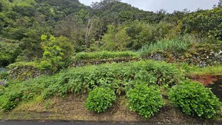 Land for sale in São Vicente, Portugal — €45,000