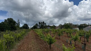 Terreno de 1865 m² em Coimbra