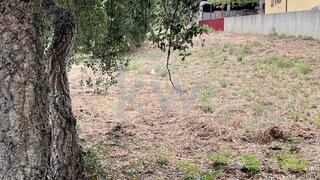 Land for sale in Anadia, Portugal — €59,500