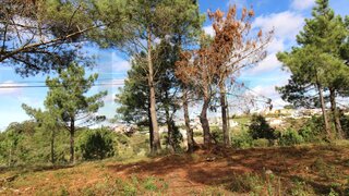 Land for sale in Mafra, Portugal — €225,000