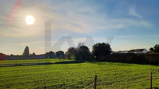Land for sale in Golegã, Portugal — €1,000,000