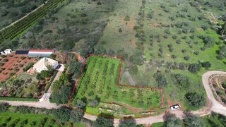 Terreno em Silves · 1800 m² · 90 000 €