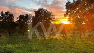 Land for sale in Santiago do Cacém, Portugal — €544,000