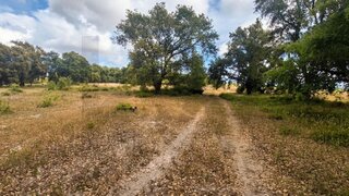 Land for sale in Palmela, Portugal — €95,000