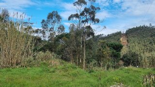 Land for sale in Coimbra, Portugal — €45,000