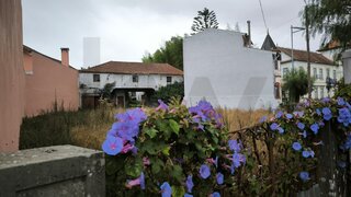 Land for sale in Oliveira do Bairro, Portugal — €116,000