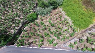 Land for sale in Calheta (Madeira), Portugal — €351,000