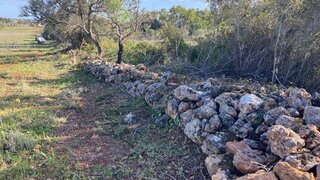 Land for sale in Silves, Portugal — €50,000