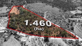 Land for sale in Ansião, Portugal — €180,000