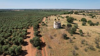 Terreno de 7500 m² em Évora