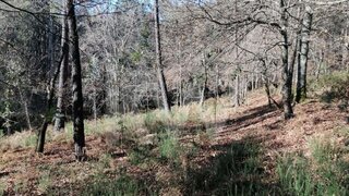 Land for sale in Vila Verde, Portugal — €35,000