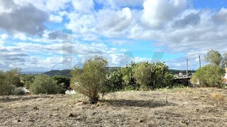 Terreno em Chamusca