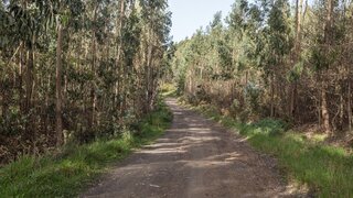 Land for sale in Câmara de Lobos, Portugal — €140,000