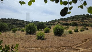 Terreno em Lagoa