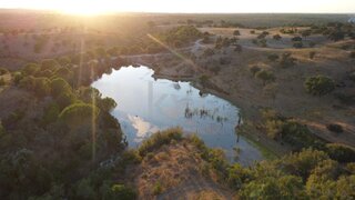 Land for sale in Ferreira do Alentejo, Portugal — €1,720,000