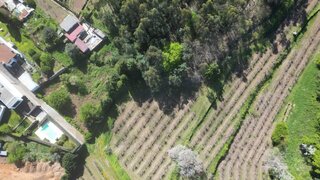 Terreno · 1000 m² · 169 900 €