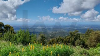Land for sale in Monchique, Portugal